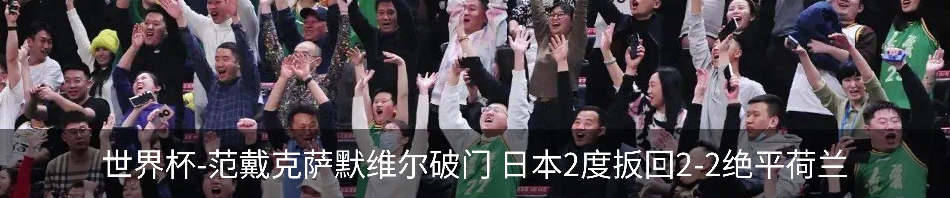 新闻动态